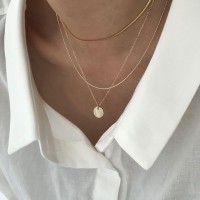 (Silver925) Daily coin necklace