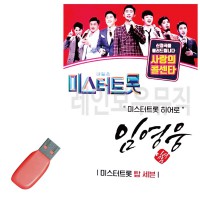 USB 임영웅 미스터트롯 히어로