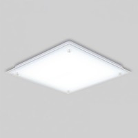 국산 방등 정사각 뉴실크 LED 50W 주광 6.5K KC