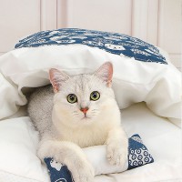 고양이 베개+이불 44x29cm 블루