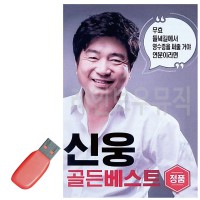 USB 신웅 골든베스트 100