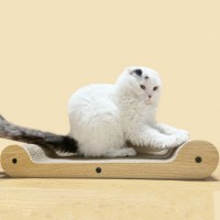 고양이 라운드 소파 스크래쳐 L 편안한 휴식공간