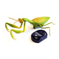 사마귀 RC 동물 곤충 작동 모형 완구 피규어 장난감