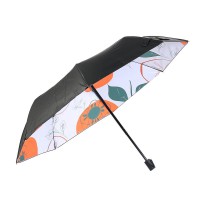 우산 UV 블랙 차단 단감 레이어 양산겸 더블