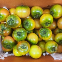 대저 짭짤이 토마토 2.5kg 로얄과