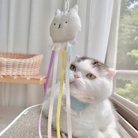 개냥이 낚시대장난감 리본끈 고양이장난감 리필