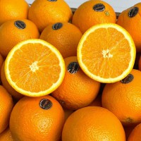 모든순간 맛있는 블랙라벨 오렌지 5과 L